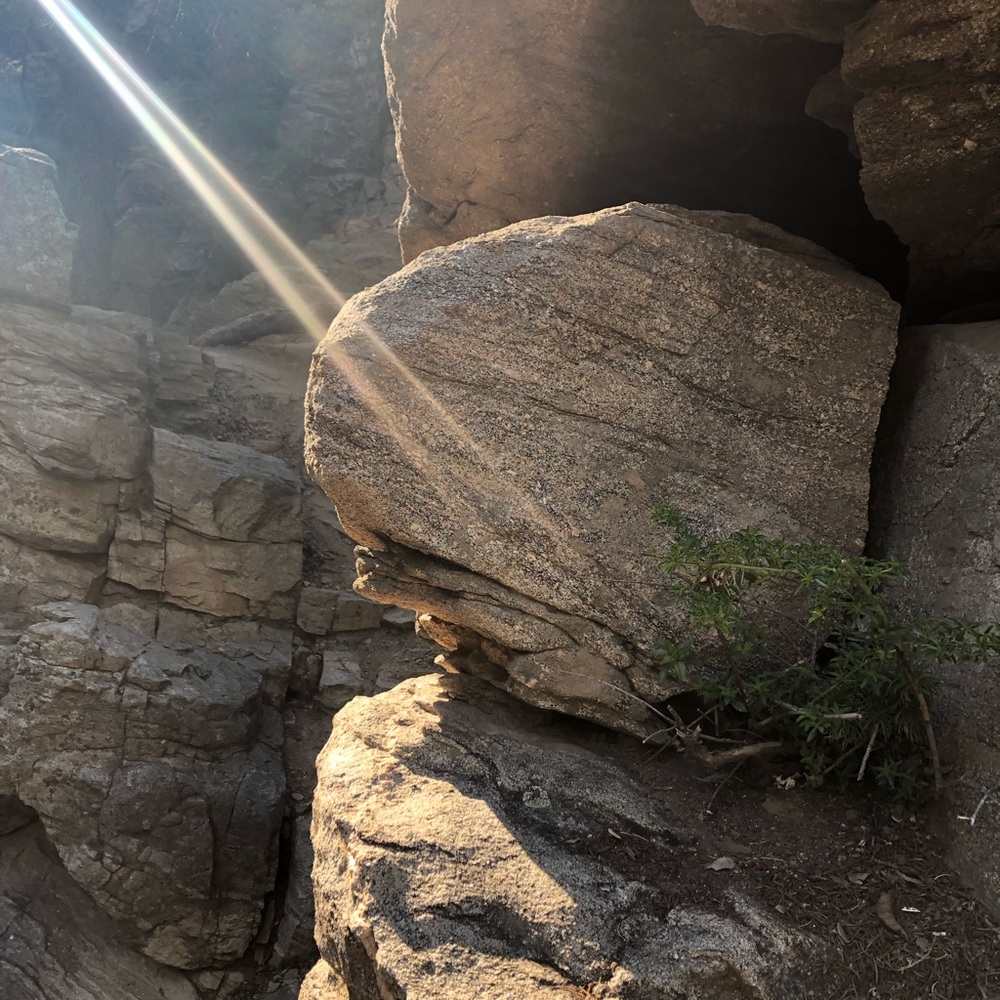 Meet your Posher, Leanna